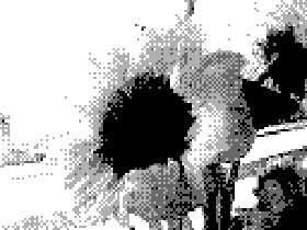 IMG_PC05.png
