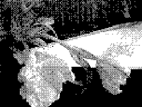 IMG_PC09.png