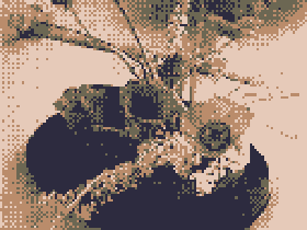 IMG_PC13-colorized.png