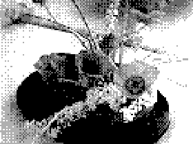 IMG_PC13.png