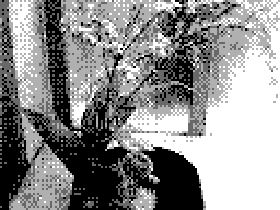 IMG_PC15.png