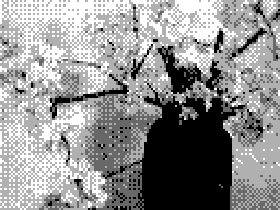 IMG_PC19.png