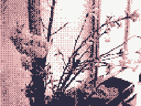 IMG_PC20-colorized.png