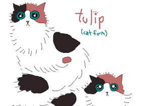 tulip%20cat%20forme%202.PNG